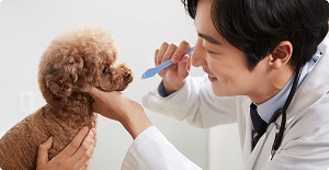 寵物醫(yī)院哪家好?